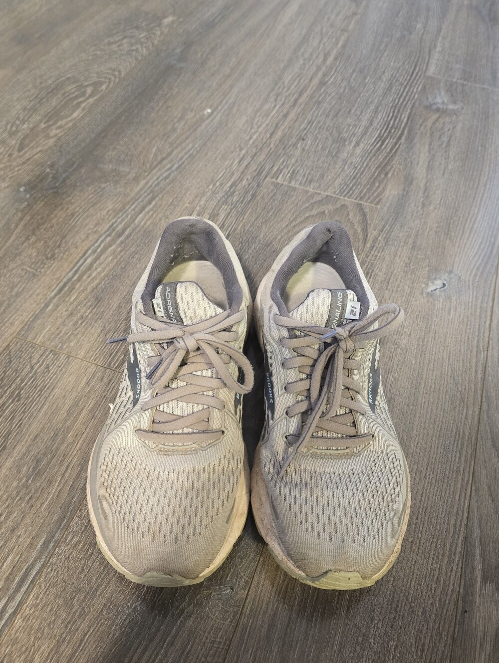 Brooks Adrenaline GTS 21 running shoes in gray 7.5